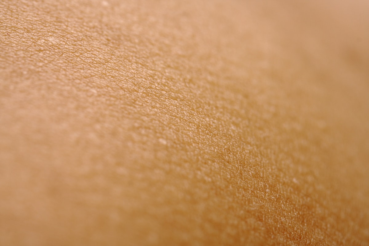 Close-up of skin texture in warm light.